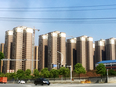 長望路綠化提質(zhì)工程